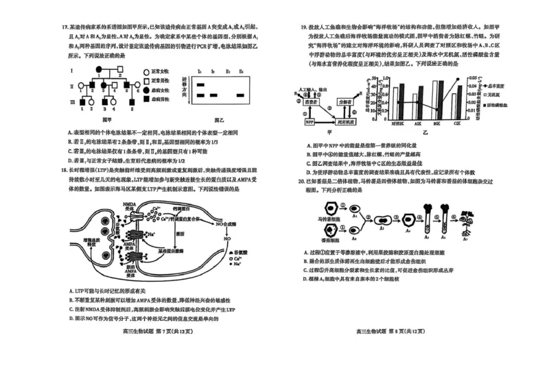 生物试题_2025年4月_250428山东省泰安市2025届高三二轮模拟检测考试（泰安二模）（全科）