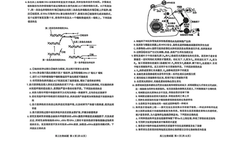 生物试题_2025年4月_250428山东省泰安市2025届高三二轮模拟检测考试（泰安二模）（全科）