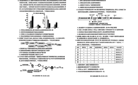 生物试题_2025年4月_250428山东省泰安市2025届高三二轮模拟检测考试（泰安二模）（全科）