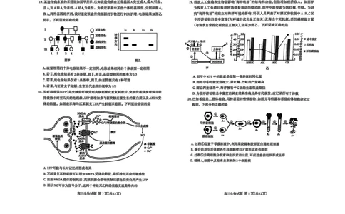 生物试题_2025年4月_250428山东省泰安市2025届高三二轮模拟检测考试（泰安二模）（全科）