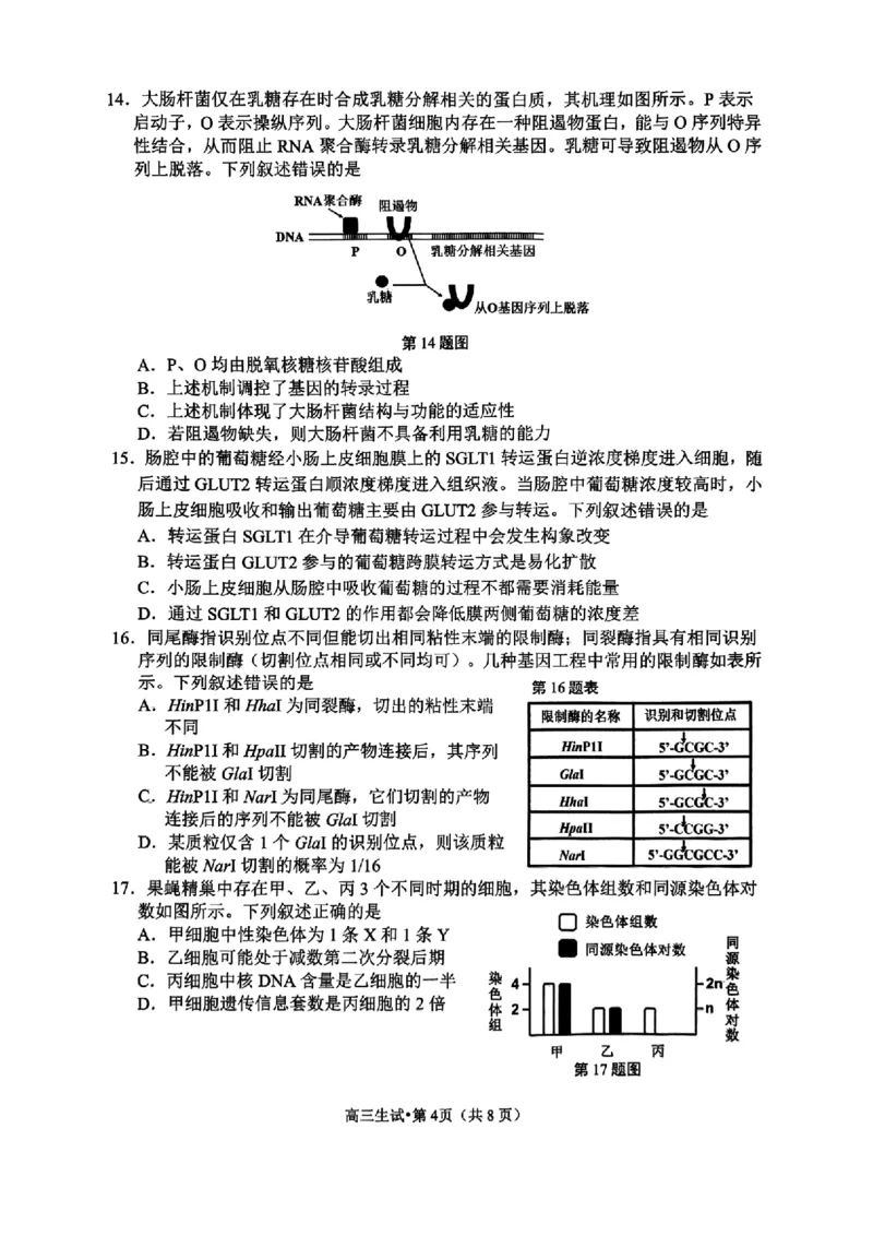 生物试卷_2025年4月_2504072024学年第二学期杭州市高三年级教学质量检测（杭州二模）_2025届浙江省杭州市高三二模教学质量检测生物