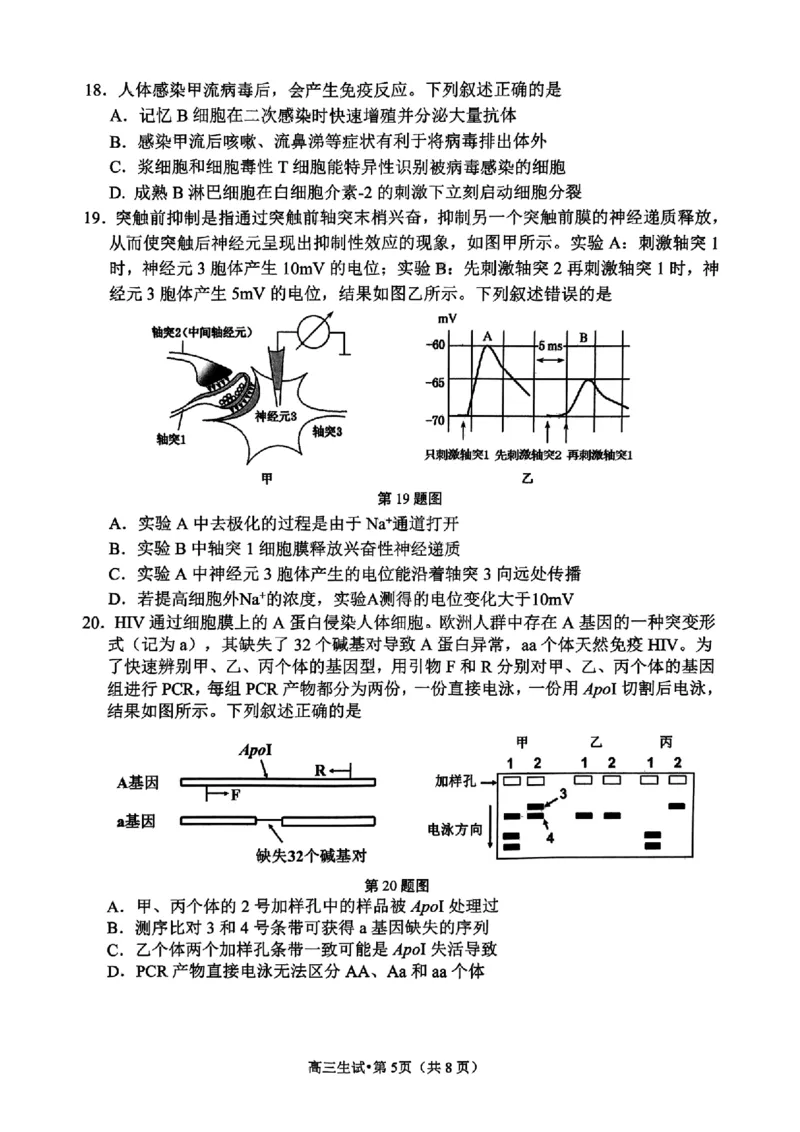 生物试卷_2025年4月_2504072024学年第二学期杭州市高三年级教学质量检测（杭州二模）_2025届浙江省杭州市高三二模教学质量检测生物
