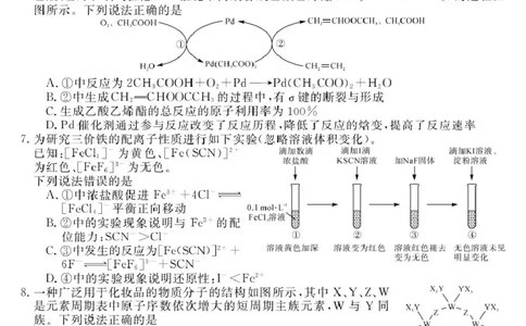 安徽省华师联盟2026届高三9月开学联考化学_2025年9月_250911安徽省华师联盟2025-2026学年高三上学期开学质量检测_安徽省华师联盟2025-2026学年高三上学期开学质量检测化学试卷