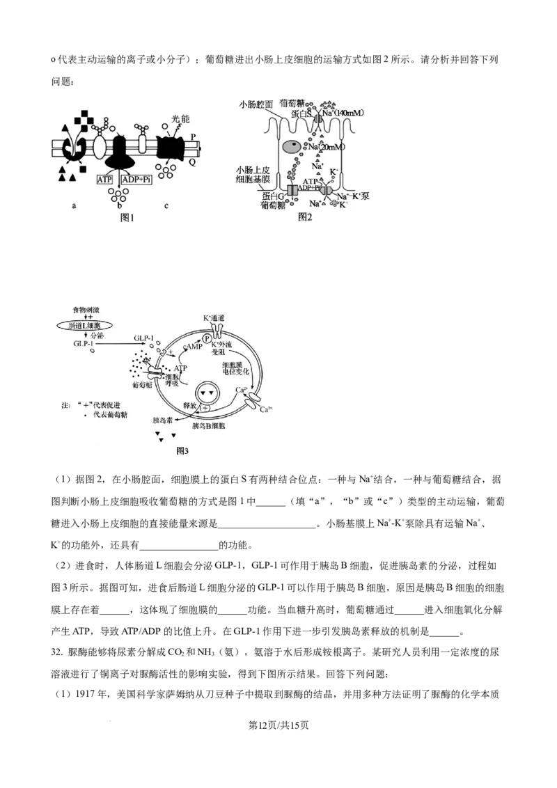 精品解析：山西省山西大学附属中学校2025-2026学年高三上学期8月月考生物试题（原卷版）_2025年8月_250813山西省山西大学附属中学校2025-2026学年高三上学期8月（总第一次）模块诊断