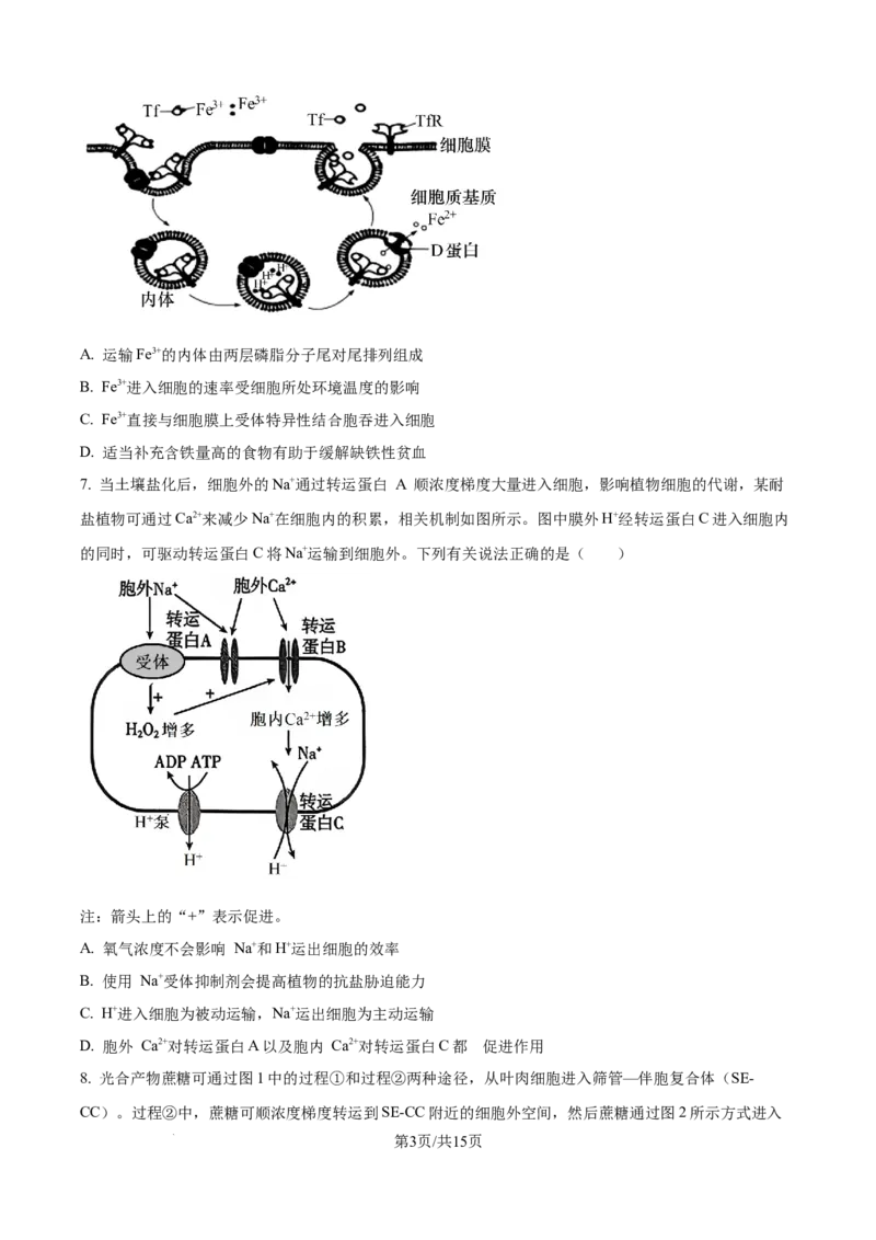 精品解析：山西省山西大学附属中学校2025-2026学年高三上学期8月月考生物试题（原卷版）_2025年8月_250813山西省山西大学附属中学校2025-2026学年高三上学期8月（总第一次）模块诊断