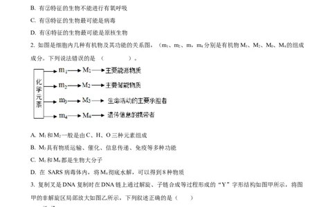 精品解析：山西省山西大学附属中学校2025-2026学年高三上学期8月月考生物试题（原卷版）_2025年8月_250813山西省山西大学附属中学校2025-2026学年高三上学期8月（总第一次）模块诊断