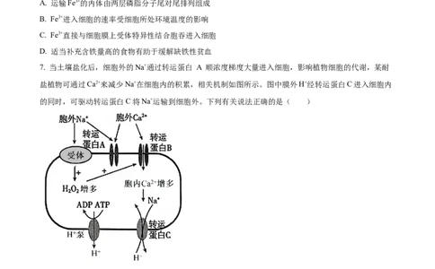 精品解析：山西省山西大学附属中学校2025-2026学年高三上学期8月月考生物试题（原卷版）_2025年8月_250813山西省山西大学附属中学校2025-2026学年高三上学期8月（总第一次）模块诊断