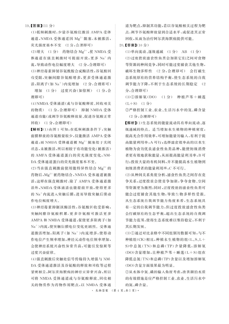 河南省2025届高三青桐鸣3月大联考生物试题+答案_2025年3月_250313河南省青桐鸣大联考2024-2025学年高三下学期3月月考