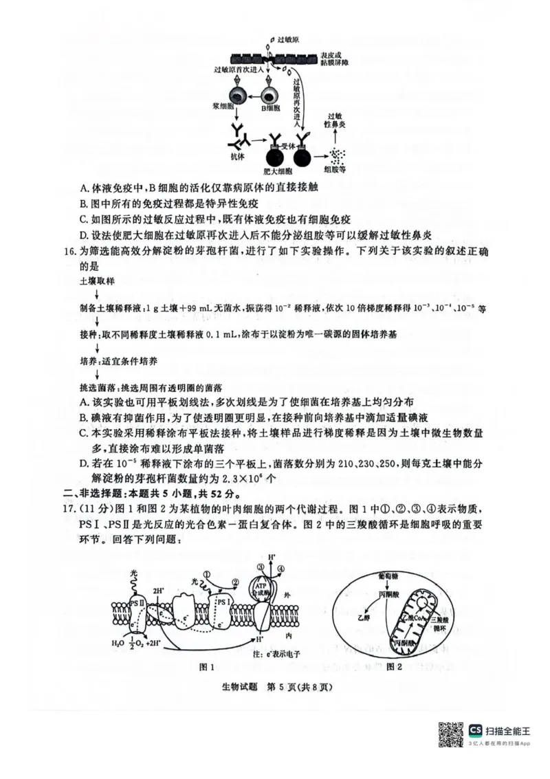 河南省2025届高三青桐鸣3月大联考生物试题+答案_2025年3月_250313河南省青桐鸣大联考2024-2025学年高三下学期3月月考