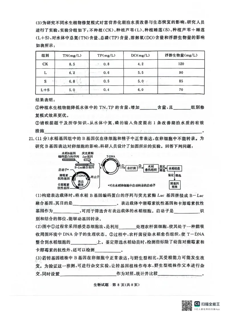 河南省2025届高三青桐鸣3月大联考生物试题+答案_2025年3月_250313河南省青桐鸣大联考2024-2025学年高三下学期3月月考