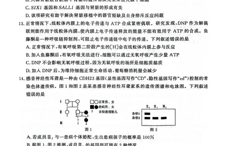 河南省2025届高三青桐鸣3月大联考生物试题+答案_2025年3月_250313河南省青桐鸣大联考2024-2025学年高三下学期3月月考
