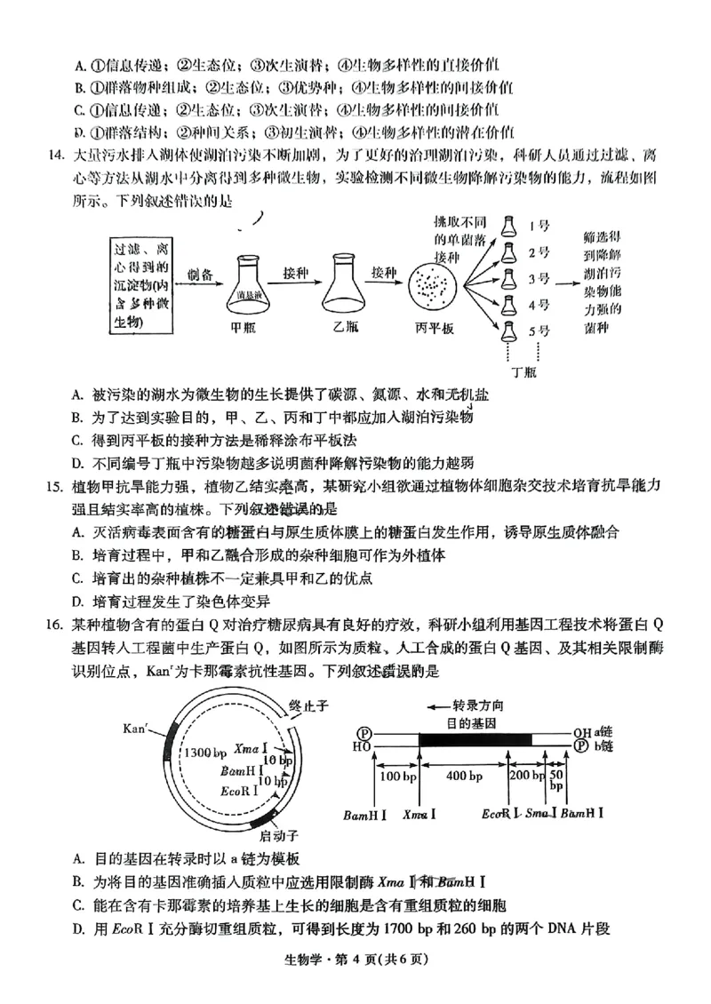 生物+昆一中2025届高三联考试卷及答案（九）_2025年5月_250511云南省昆明市第一中学2025届高三年级九次联考（全科）