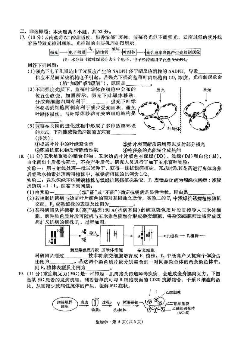 生物+昆一中2025届高三联考试卷及答案（九）_2025年5月_250511云南省昆明市第一中学2025届高三年级九次联考（全科）