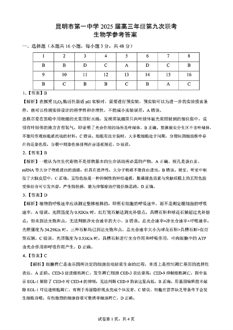 生物+昆一中2025届高三联考试卷及答案（九）_2025年5月_250511云南省昆明市第一中学2025届高三年级九次联考（全科）