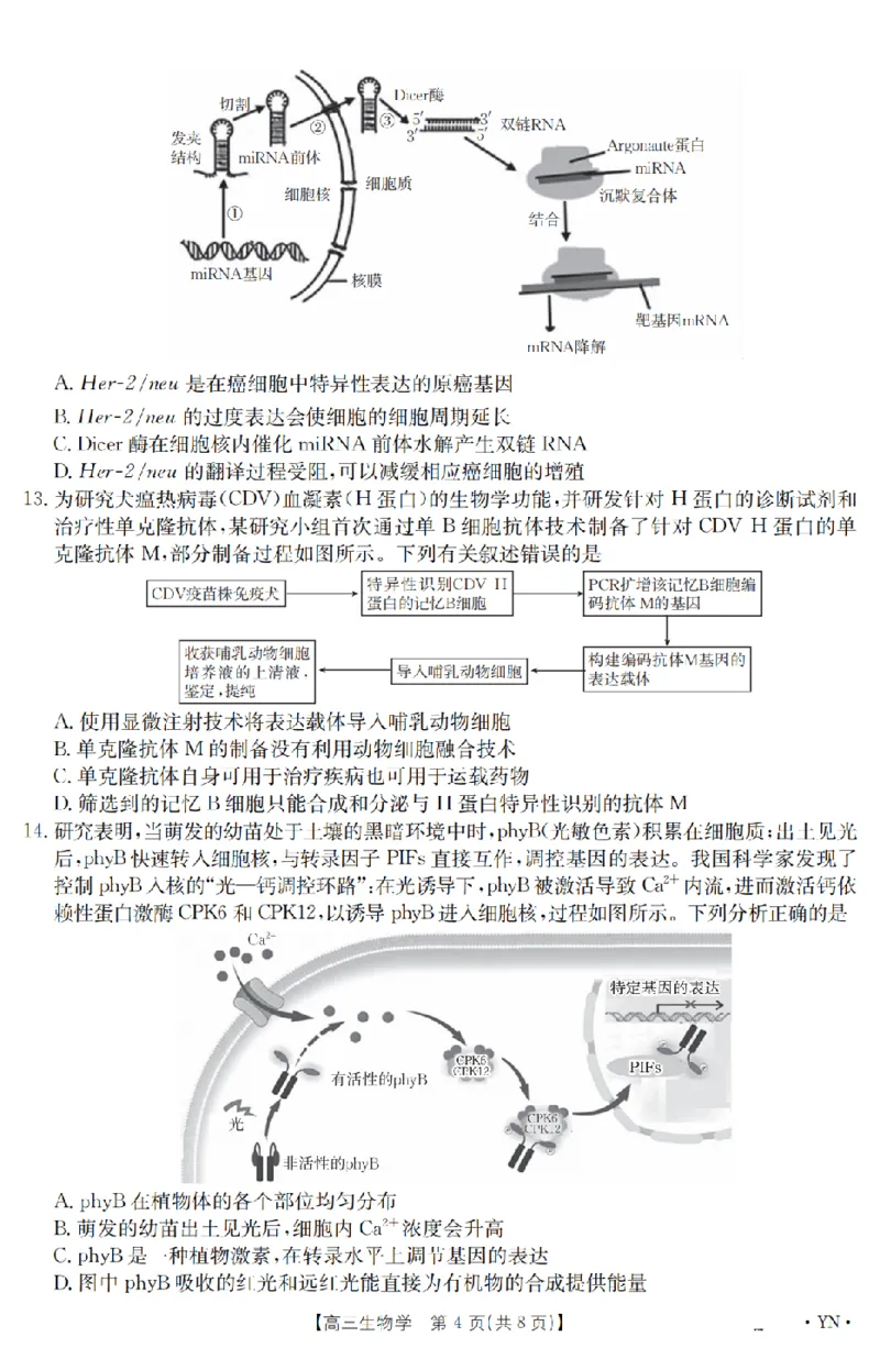 金太阳25-4001C云南省2025届高三下学期3月百万大联考生物_2025年3月_250327云南省金太阳2025届高三下学期3月百万大联考（25-4001C）（全科）