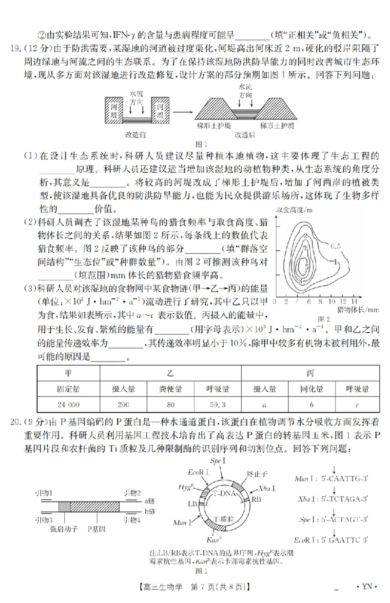 金太阳25-4001C云南省2025届高三下学期3月百万大联考生物_2025年3月_250327云南省金太阳2025届高三下学期3月百万大联考（25-4001C）（全科）