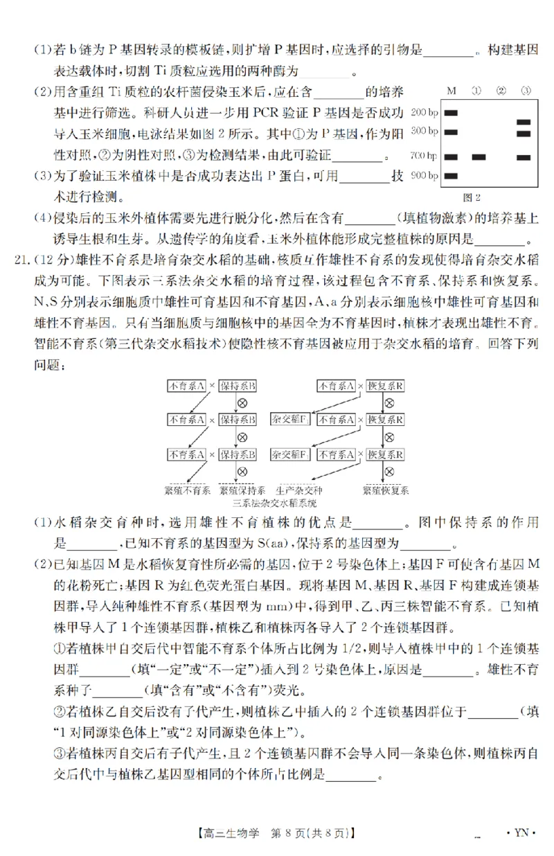 金太阳25-4001C云南省2025届高三下学期3月百万大联考生物_2025年3月_250327云南省金太阳2025届高三下学期3月百万大联考（25-4001C）（全科）