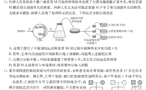 金太阳25-4001C云南省2025届高三下学期3月百万大联考生物_2025年3月_250327云南省金太阳2025届高三下学期3月百万大联考（25-4001C）（全科）