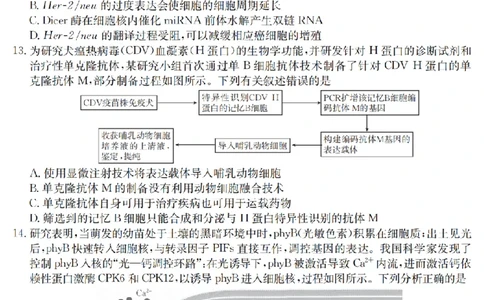 金太阳25-4001C云南省2025届高三下学期3月百万大联考生物_2025年3月_250327云南省金太阳2025届高三下学期3月百万大联考（25-4001C）（全科）