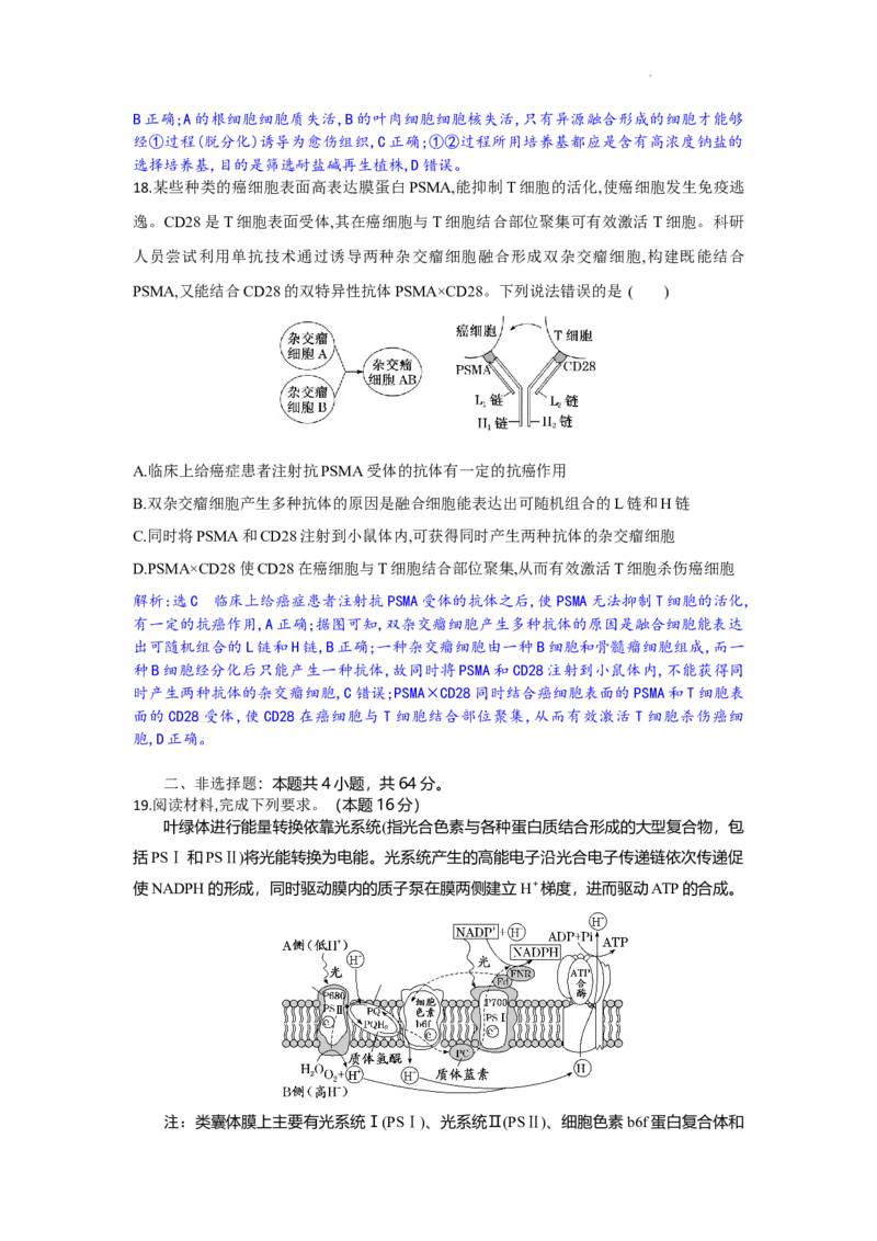 解析_2025年9月_250924湖北省部分高中协作体联考2025-2026学年高三上学期9月联考（全科）_湖北省部分高中协作体2025-2026学年高三上学期9月联考生物试题（含答案）
