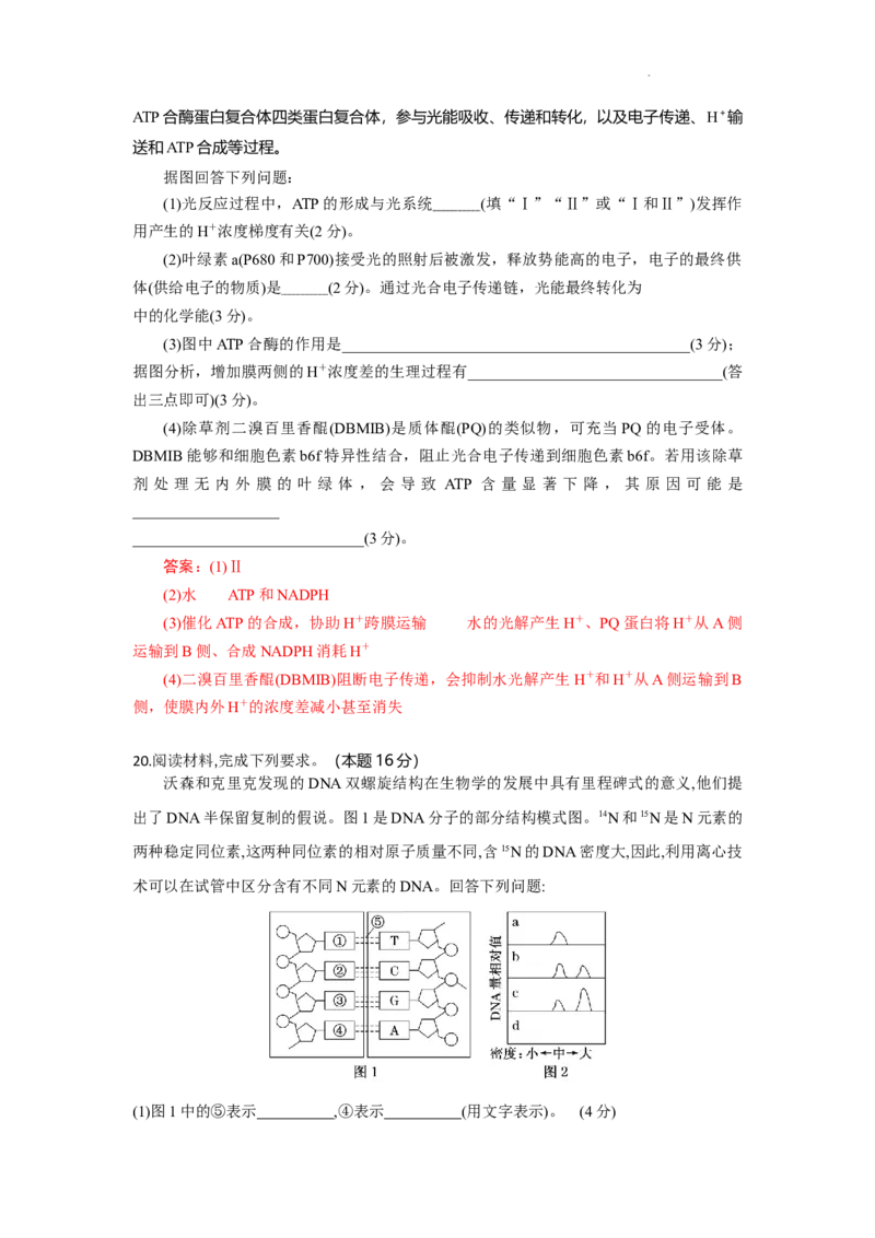 解析_2025年9月_250924湖北省部分高中协作体联考2025-2026学年高三上学期9月联考（全科）_湖北省部分高中协作体2025-2026学年高三上学期9月联考生物试题（含答案）