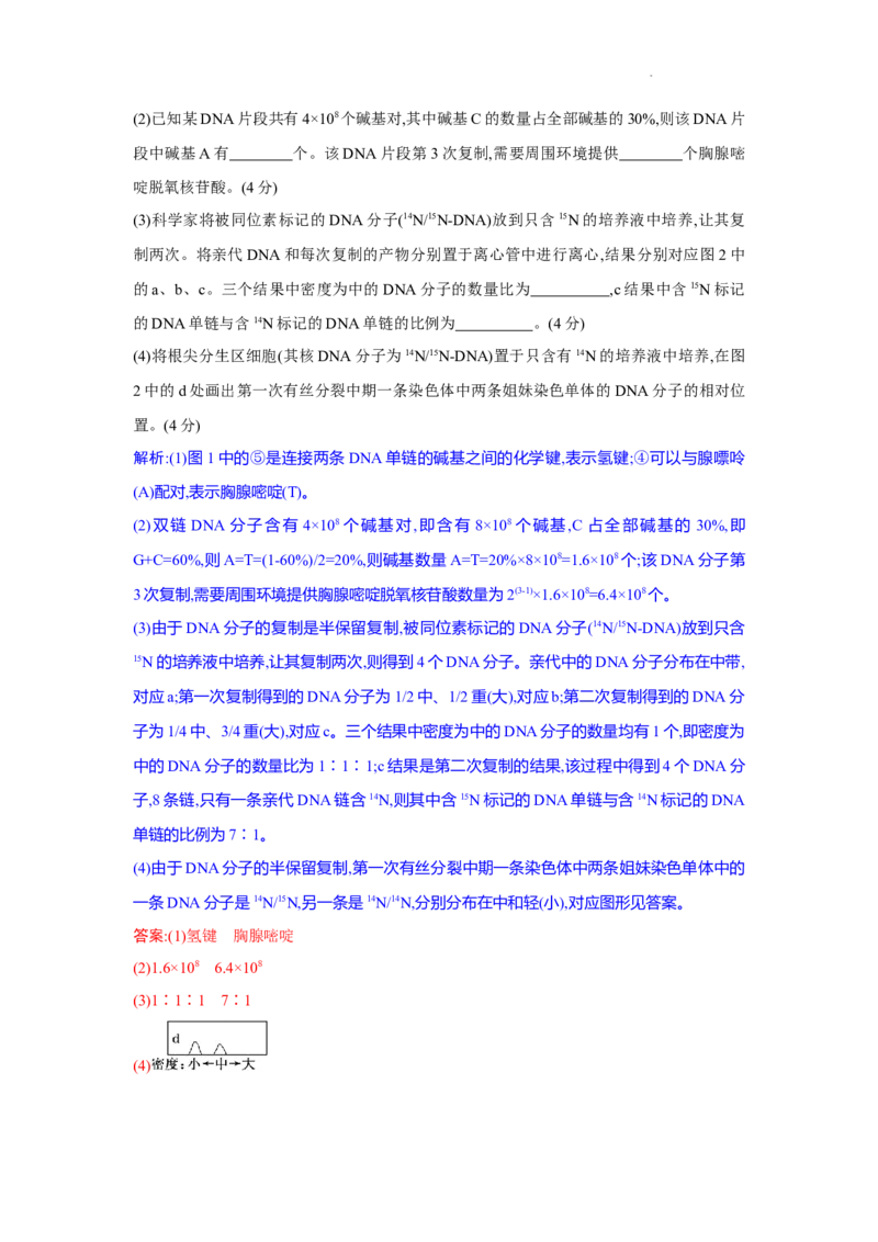 解析_2025年9月_250924湖北省部分高中协作体联考2025-2026学年高三上学期9月联考（全科）_湖北省部分高中协作体2025-2026学年高三上学期9月联考生物试题（含答案）
