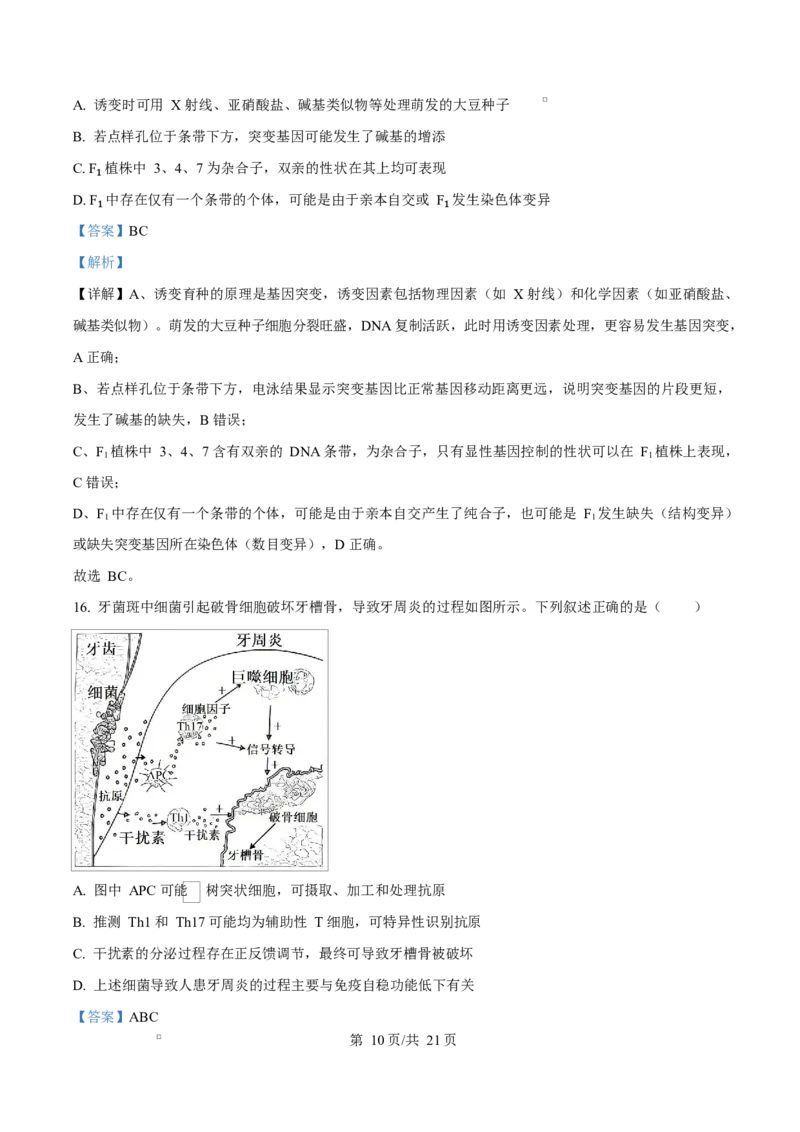 河北省沧州市普通高中2026届高三复习质量检测+生物答案_2025年10月_251020河北省沧州市普通高中2026届高三复习质量检测（全科）