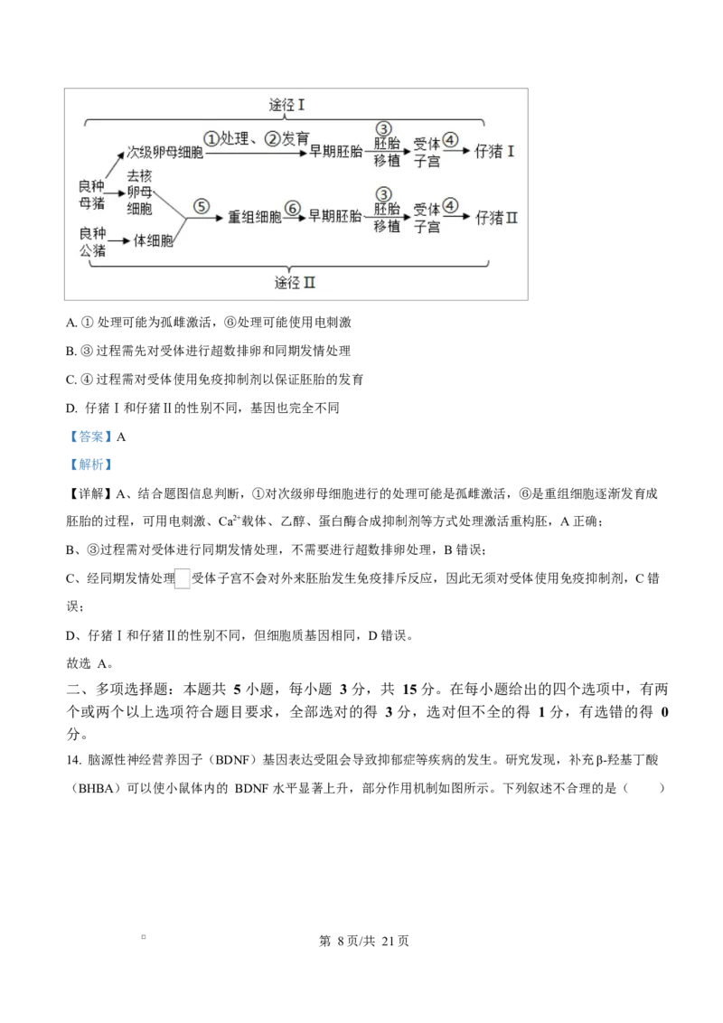 河北省沧州市普通高中2026届高三复习质量检测+生物答案_2025年10月_251020河北省沧州市普通高中2026届高三复习质量检测（全科）