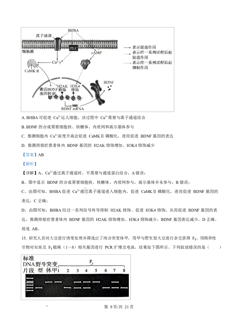 河北省沧州市普通高中2026届高三复习质量检测+生物答案_2025年10月_251020河北省沧州市普通高中2026届高三复习质量检测（全科）
