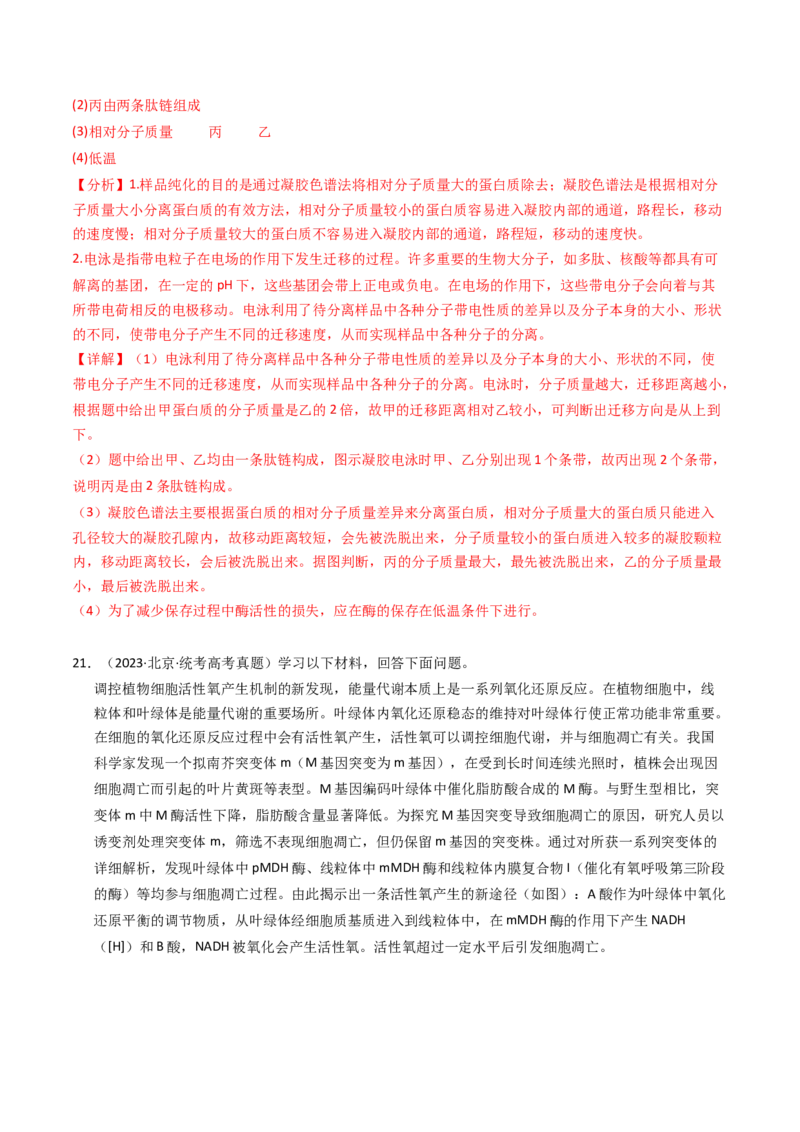 专题01细胞的结构与分子组成（解析卷）_近10年高考真题汇编（必刷）_十年（2014-2024）高考生物真题分项汇编（全国通用）_2023年高考真题和模拟题生物分项汇编（全国通用）
