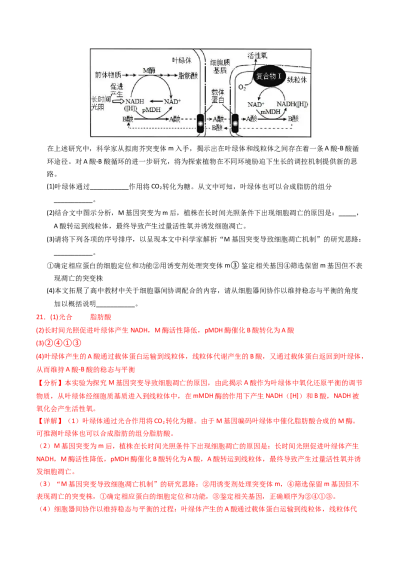 专题01细胞的结构与分子组成（解析卷）_近10年高考真题汇编（必刷）_十年（2014-2024）高考生物真题分项汇编（全国通用）_2023年高考真题和模拟题生物分项汇编（全国通用）