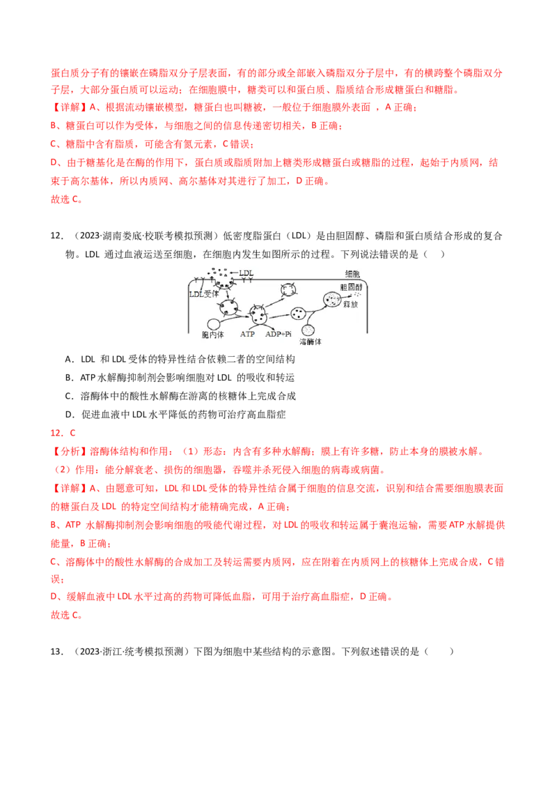 专题01细胞的结构与分子组成（解析卷）_近10年高考真题汇编（必刷）_十年（2014-2024）高考生物真题分项汇编（全国通用）_2023年高考真题和模拟题生物分项汇编（全国通用）