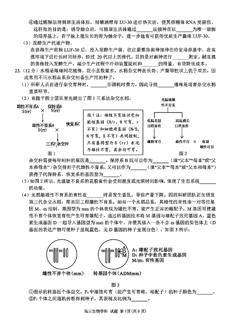 浙江省天域全国名校协作体2024-2025学年高三下学期3月月考生物+答案_2025年3月_250305浙江省天域全国名校协作体2024-2025学年高三下学期3月月考