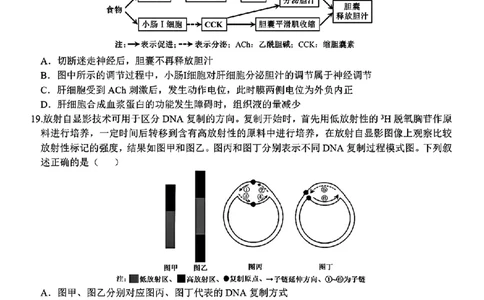浙江省天域全国名校协作体2024-2025学年高三下学期3月月考生物+答案_2025年3月_250305浙江省天域全国名校协作体2024-2025学年高三下学期3月月考
