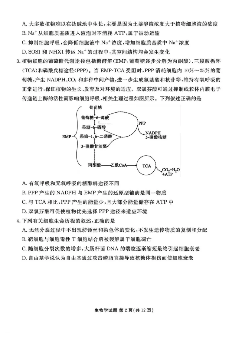 山西省部分学校2024-2025学年高三下学期2月开学考试生物试卷+答案_2025年2月_250217山西省衡水金卷2024-2025学年高三下学期2月开学联考（全科）