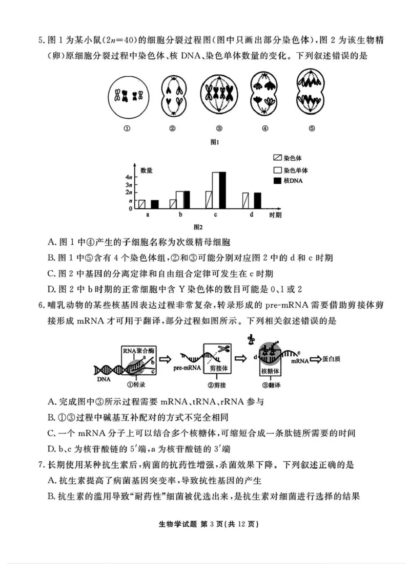 山西省部分学校2024-2025学年高三下学期2月开学考试生物试卷+答案_2025年2月_250217山西省衡水金卷2024-2025学年高三下学期2月开学联考（全科）