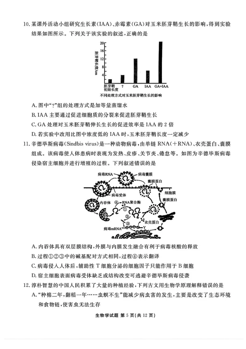 山西省部分学校2024-2025学年高三下学期2月开学考试生物试卷+答案_2025年2月_250217山西省衡水金卷2024-2025学年高三下学期2月开学联考（全科）