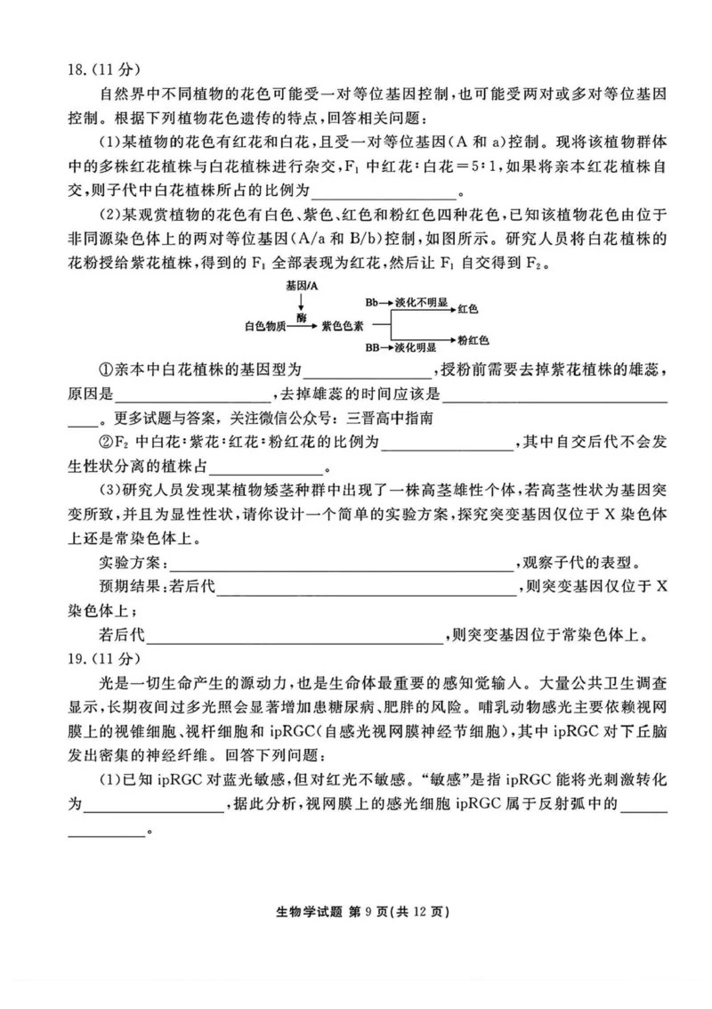 山西省部分学校2024-2025学年高三下学期2月开学考试生物试卷+答案_2025年2月_250217山西省衡水金卷2024-2025学年高三下学期2月开学联考（全科）