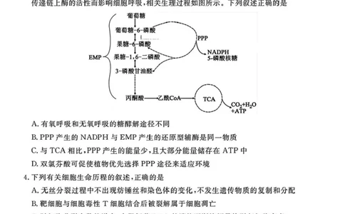山西省部分学校2024-2025学年高三下学期2月开学考试生物试卷+答案_2025年2月_250217山西省衡水金卷2024-2025学年高三下学期2月开学联考（全科）