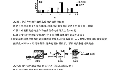 山西省部分学校2024-2025学年高三下学期2月开学考试生物试卷+答案_2025年2月_250217山西省衡水金卷2024-2025学年高三下学期2月开学联考（全科）