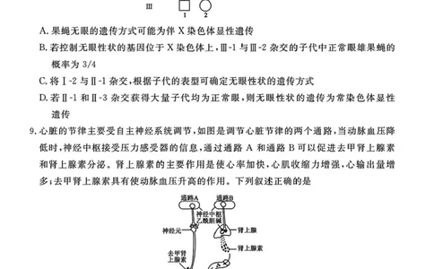 山西省部分学校2024-2025学年高三下学期2月开学考试生物试卷+答案_2025年2月_250217山西省衡水金卷2024-2025学年高三下学期2月开学联考（全科）