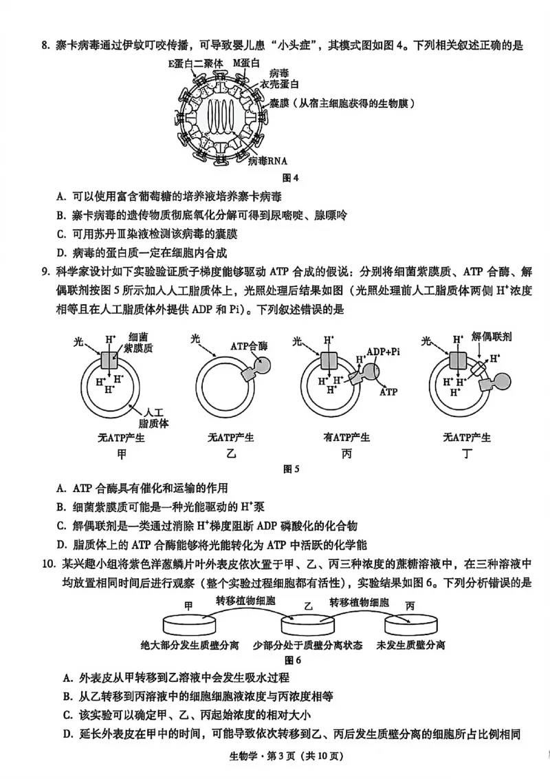生物试卷-重庆市巴蜀中学2026届高三8月高考适应性月考（一）_2025年8月_250831重庆市巴蜀中学2026届高三8月适应性月考（一）（全科）