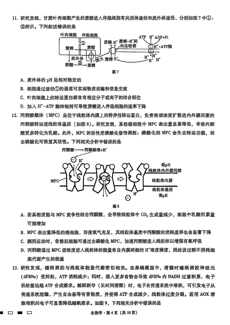 生物试卷-重庆市巴蜀中学2026届高三8月高考适应性月考（一）_2025年8月_250831重庆市巴蜀中学2026届高三8月适应性月考（一）（全科）