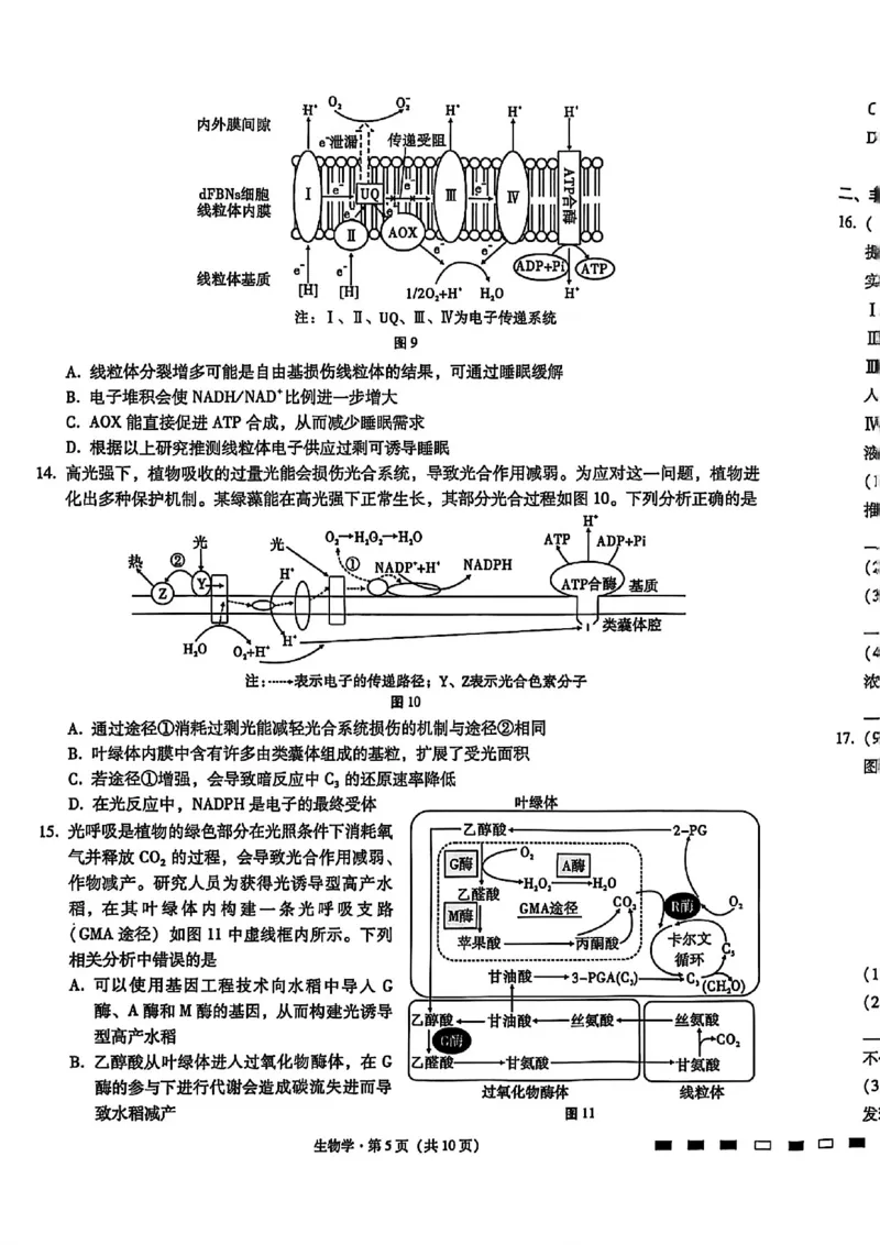 生物试卷-重庆市巴蜀中学2026届高三8月高考适应性月考（一）_2025年8月_250831重庆市巴蜀中学2026届高三8月适应性月考（一）（全科）