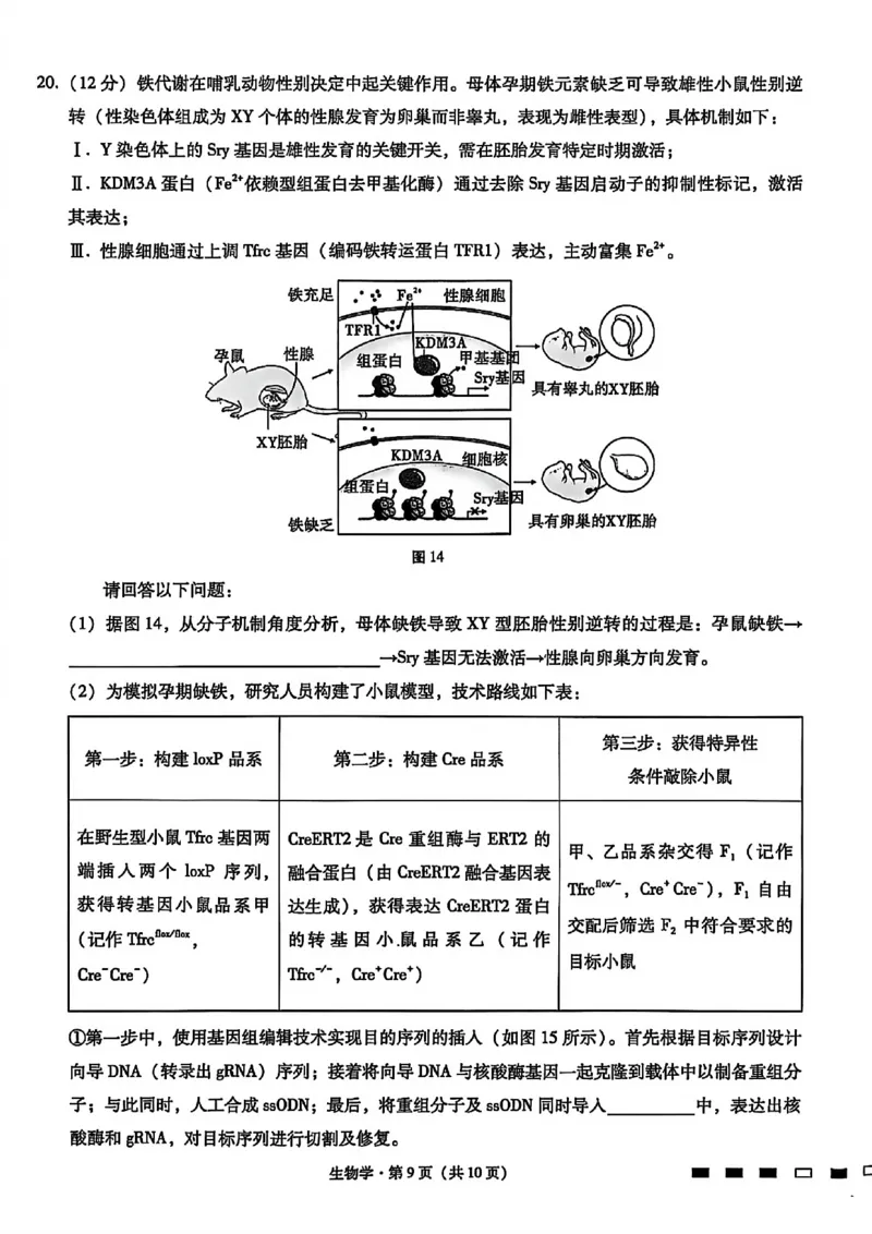 生物试卷-重庆市巴蜀中学2026届高三8月高考适应性月考（一）_2025年8月_250831重庆市巴蜀中学2026届高三8月适应性月考（一）（全科）
