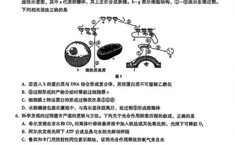 生物试卷-重庆市巴蜀中学2026届高三8月高考适应性月考（一）_2025年8月_250831重庆市巴蜀中学2026届高三8月适应性月考（一）（全科）