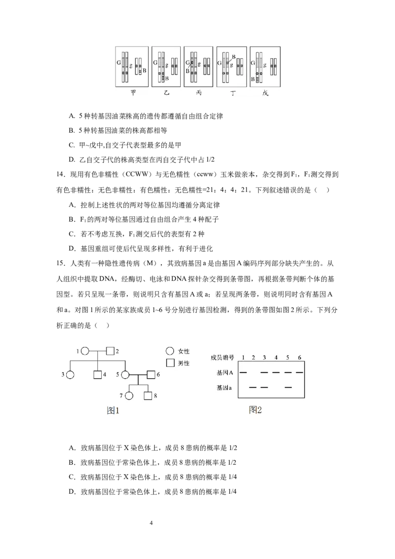 宜宾三中高2023级高三第一次模拟考试+生物_2025年9月_250922四川省宜宾三中高2023级高三第一次模拟考试（全科）_宜宾三中高2023级高三第一次模拟考试+生物