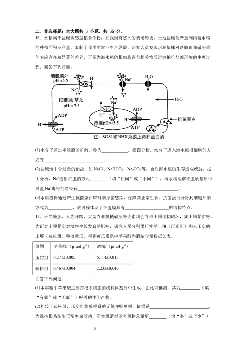 宜宾三中高2023级高三第一次模拟考试+生物_2025年9月_250922四川省宜宾三中高2023级高三第一次模拟考试（全科）_宜宾三中高2023级高三第一次模拟考试+生物