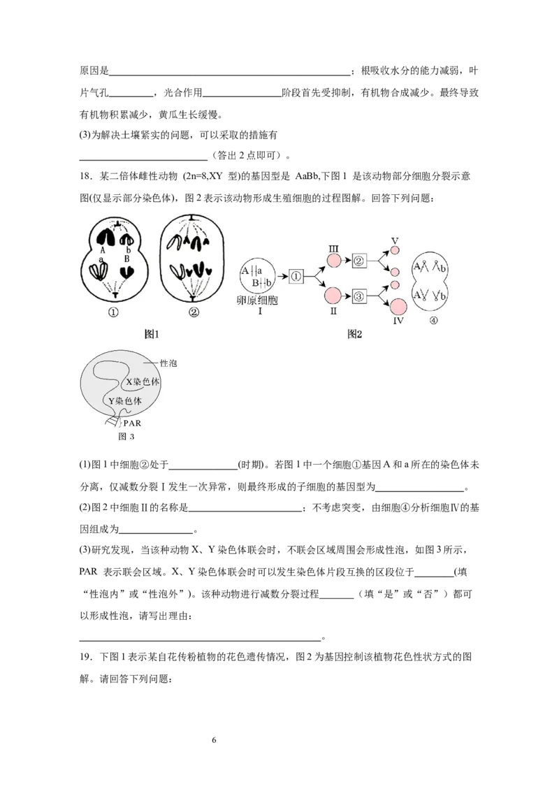 宜宾三中高2023级高三第一次模拟考试+生物_2025年9月_250922四川省宜宾三中高2023级高三第一次模拟考试（全科）_宜宾三中高2023级高三第一次模拟考试+生物