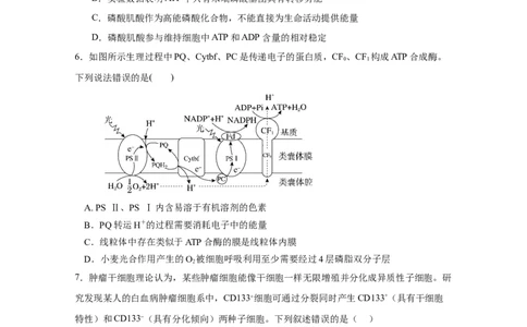宜宾三中高2023级高三第一次模拟考试+生物_2025年9月_250922四川省宜宾三中高2023级高三第一次模拟考试（全科）_宜宾三中高2023级高三第一次模拟考试+生物